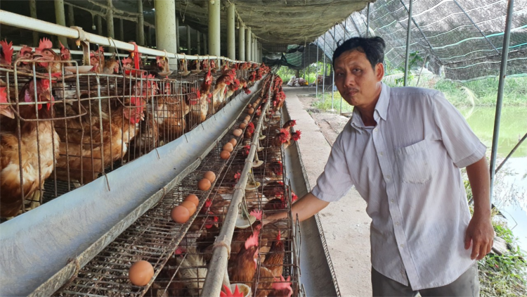 Kiểm soát thịt và phụ phẩm, hàng Việt bị siết chặt - hàng ngoại bỏ ngỏ (29/03/2024)