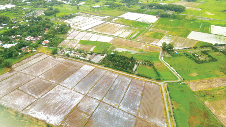 Sớm ban hành Nghị định, thông tư hướng dẫn để sớm đưa Luật Đất đai đi vào cuộc sống (06/3/2024)