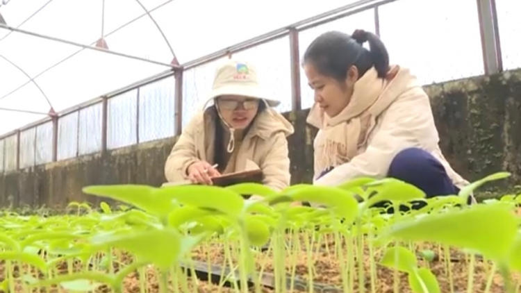 Thanh Hoá: Chú trọng quy trình nghiên cứu, chọn tạo giống nông nghiệp (08/03/2024)