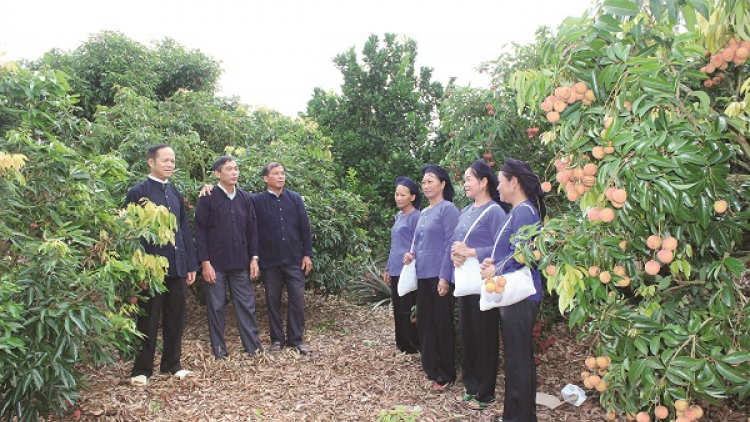 Huyện Lục Ngạn, tỉnh Bắc Giang: Sức sống của những làn điệu dân ca vùng đồng bào dân tộc thiểu số (01/03/2024)