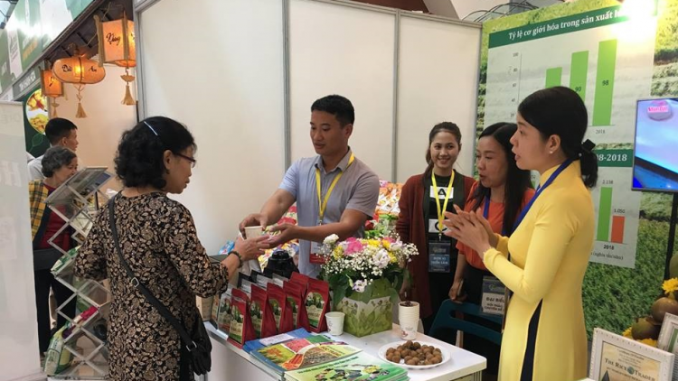 Phát triển xanh để tăng trưởng xuất khẩu bền vững (22/3/2024)