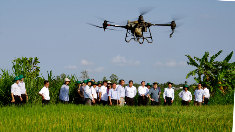Triển khai Đề án phát triển 1 triệu ha chuyên canh lúa chất lượng cao và vai trò của khuyến nông cộng đồng (15/3/2024)