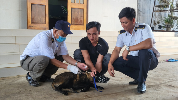 Bệnh dại tại Tây Nguyên diễn biến phức tạp (27/3/2024)
