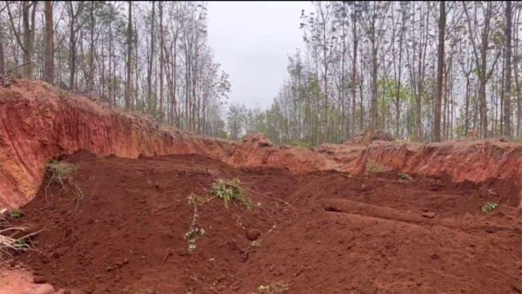 Quảng Trị: Liên tiếp phát hiện nhiều vụ khai thác đất, cát trái phép (12/3/2024)