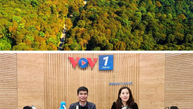 Tiềm năng thu 5.000 tỉ đồng từ bán tín chỉ các bon: nguồn lực lớn cho bảo vệ và phát triển rừng. (1/3/2024)