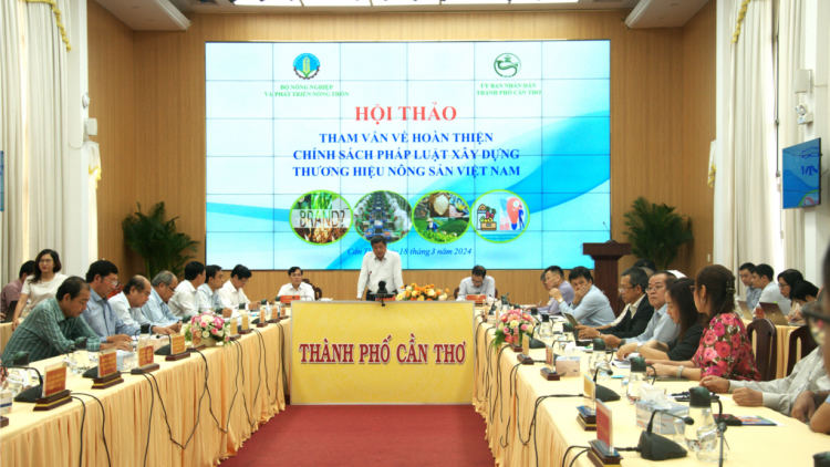 Hoàn thiện chính sách xây dựng thương hiệu nông sản Việt Nam (18/3/2024)