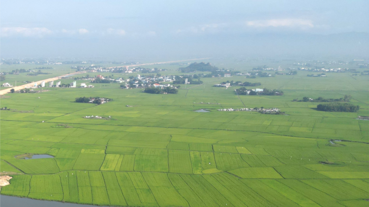 Hơn 1000 hécta ở Bình Định nguy cơ thiếu nước vụ hè thu (08/3/2024)