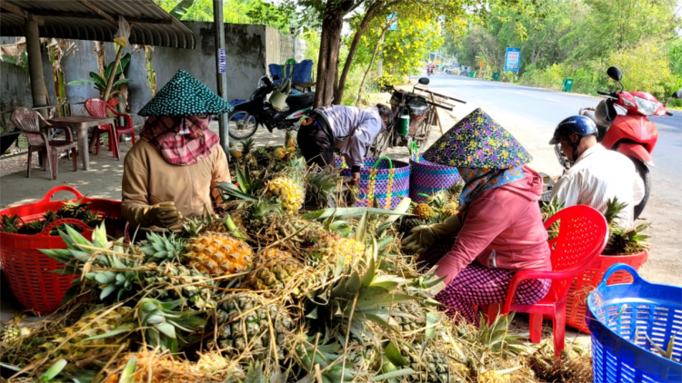 Hàng trăm hộ dân vùng Đồng Tháp Mười (Tiền Giang) “ kêu cứu” vì nhiều năm không có nước sạch sinh hoạt (12/4/2024)
