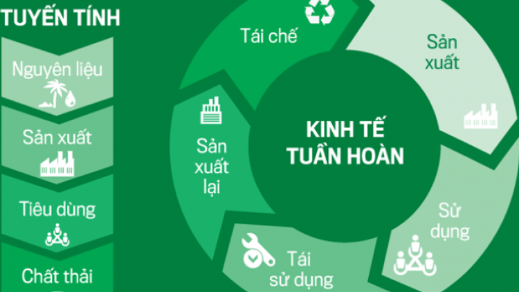 Phân loại rác thải tại nguồn hướng tới nền kinh tế tuần hoàn (20/01/2024)