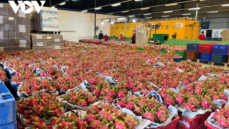 Đẩy mạnh xuất khẩu nông sản sang thị trường Trung Quốc. (20+21/04/2024)