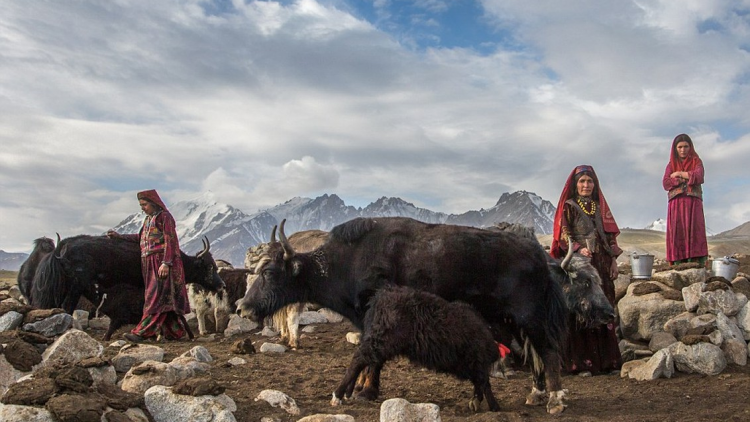 Cuộc sống độc đáo của những người phụ nữ Wakhi tại vùng núi cao ở Pakistan (28/2/2024)