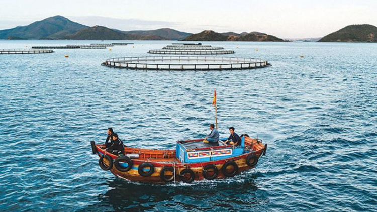 Tuần tra, kiểm soát gắn với bảo vệ nguồn lợi thủy sản (28/4/2024)