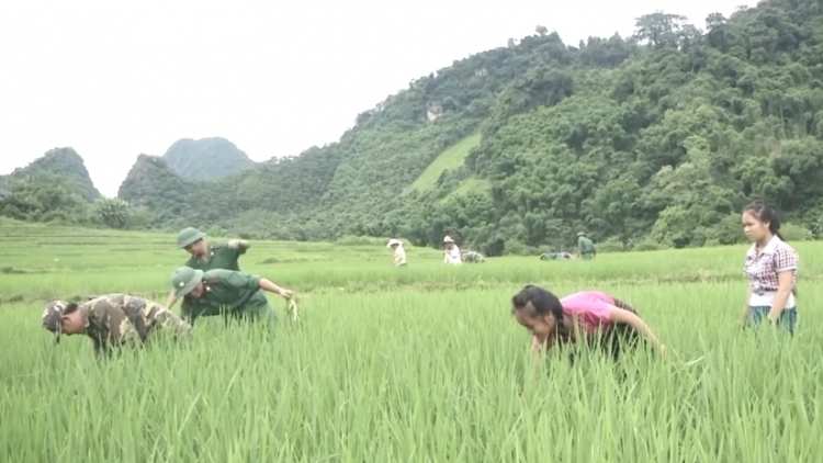 Biên phòng Thanh Hoá: Những mô hình thắm tình quân dân (01+02/06/2024)