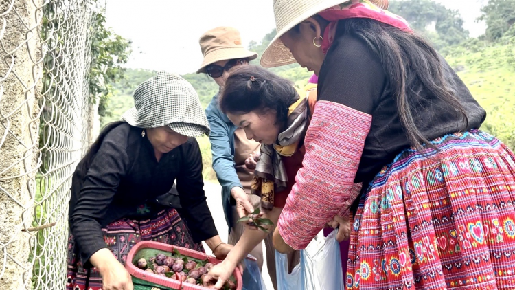 Sơn La kết nối, mở rộng thị trường tiêu thụ trái cây (23/5/2024)