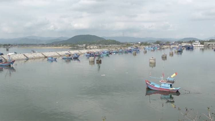 Luồng lạch cảng Mỹ Á bồi lấp, tàu thuyền ra vào khó khăn (14/5/2024)