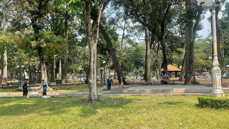 Hạn chế thấp nhất việc phải đốn hạ cây xanh để làm dự án (16/5/2024)