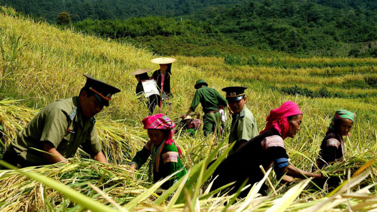Thư Bác dẫn lối, soi đường cho Lai Châu phát triển (15/5/2024)