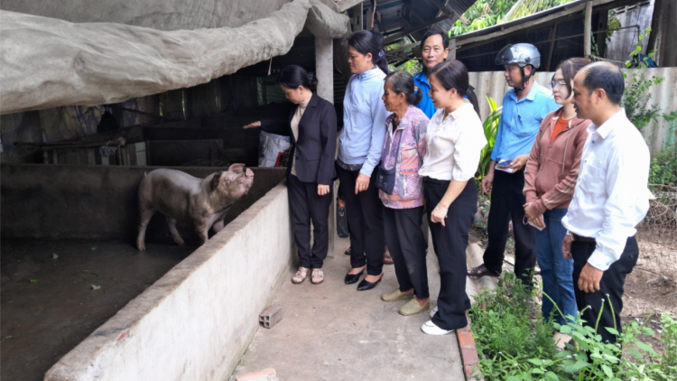 Tạo thêm điều kiện cho nhiều hộ nghèo vươn lên