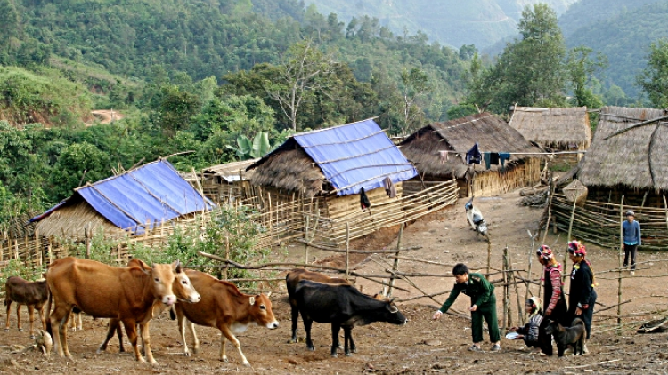 Bộ đội biên phòng đồng hành cùng người dân biên giới phát triển kinh tế (22+23/06/2024)