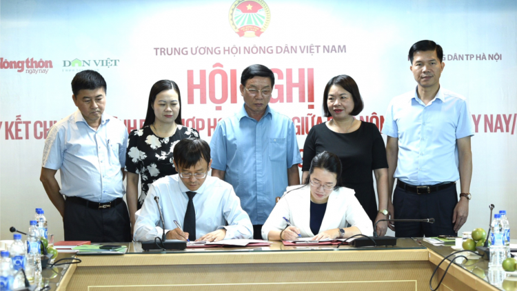 Hà Nội: hỗ trợ nông dân liên kết sản xuất và chuyển đổi số (12/6/2024)