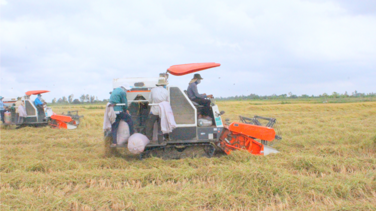Việt Nam đứng trước cơ hội lớn để trở thành hình mẫu về kinh tế tuần hoàn (17/6/2024)