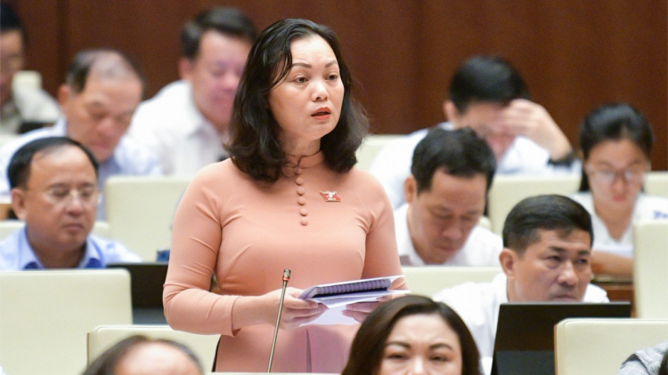 Đề nghị bổ sung hành vi mua bán thai nhi vào phạm vi điều chỉnh của Dự án Luật phòng chống mua bán người (sửa đổi) (24/6/2024)