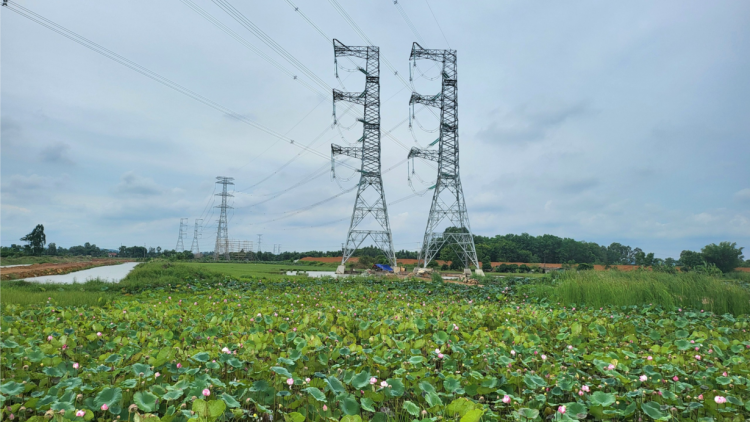 Hoàn thành đóng điện Đường dây 500kV mạch 3 cung đoạn Nhà máy nhiệt điện Nam Định 1 - Thanh Hoá (30/06/2024)
