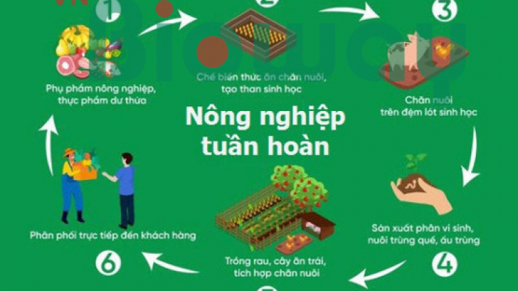 Tận dụng thời cơ về nông nghiệp tuần hoàn (20/06/2024)
