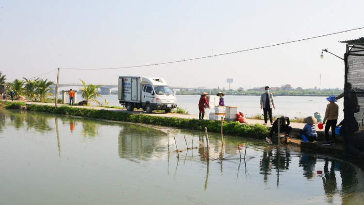 Xã Vĩnh Lập, huyện Thanh Hà, tỉnh Hải Dương – vùng đất “làm rươi” chuyển mình từ nông thôn mới (15/7/2024)