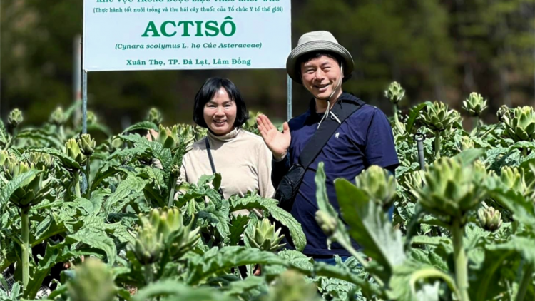 Thảo dược đóng vai trò quan trọng trong điều trị y học lâm sàng (19/7/2024)