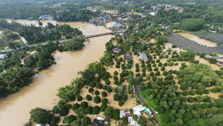 Tỉnh Trat (Thái Lan) đóng cửa nhiều trường học do lũ (31/07/2024)