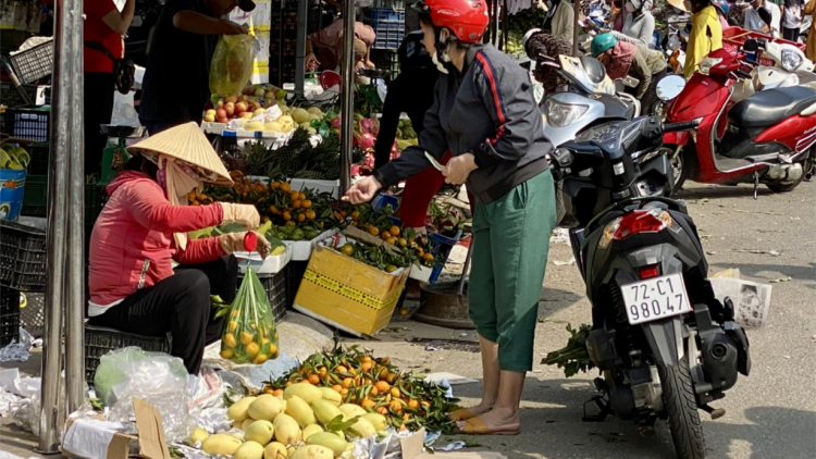 Vì sao chợ tự phát ở Vũng Tàu vẫn tồn tại? (27/7/2024)