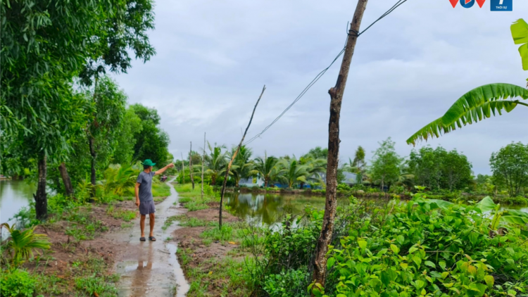 Cà Mau: Nỗi khổ của hơn 100 hộ dân ở phường phải dùng điện nhờ từ xã khác (2/8/2024)
