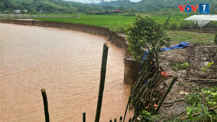 Mưa lớn ảnh hưởng diện rộng, Sơn La tiếp tục các phương án ứng phó (11/8/2024)