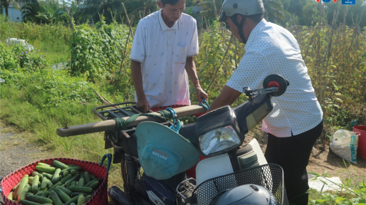 Sóc Trăng: Đổi thay ở xã có hơn 92% dân số là đồng bào dân tộc thiểu số (24/8/2024)