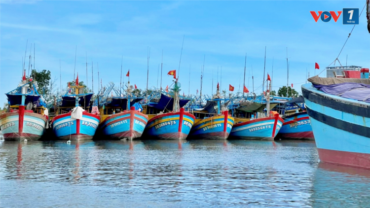 Ngư dân Bà Rịa – Vũng Tàu dùng phần mềm eCDT để khai báo nhật ký khai thác (04/8/2024)