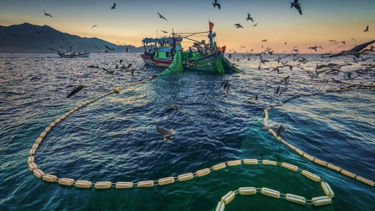 Cộng đồng chung tay bảo vệ nguồn lợi biển (12/08/2024)