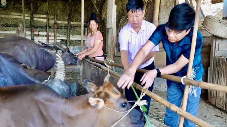 Nguồn vốn tín dụng chính sách xã hội giúp người dân vươn lên thoát nghèo bền vững (05/08/2024)