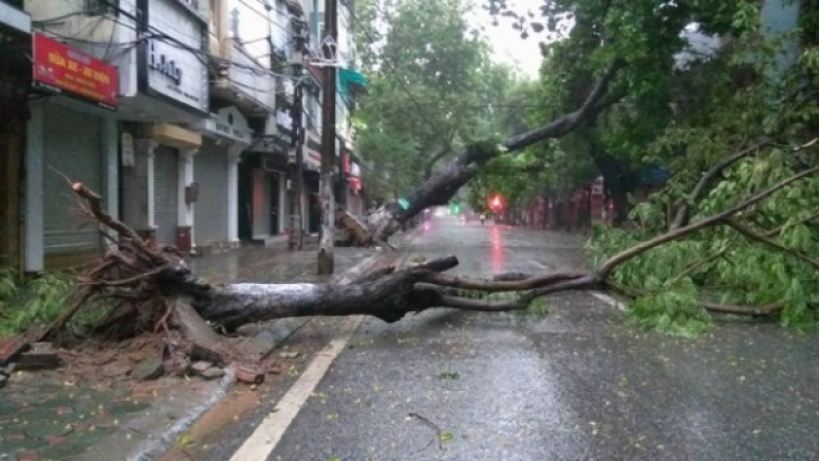 THỜI SỰ 21H30 ĐÊM 6/9/2024: Siêu bão số 3 tên quốc tế là Yagi sẽ vào Vịnh Bắc Bộ đêm nay.