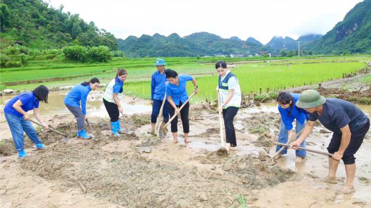 Những cánh đồng xanh trở lại nơi rốn lũ Sơn La (26/9/2024)