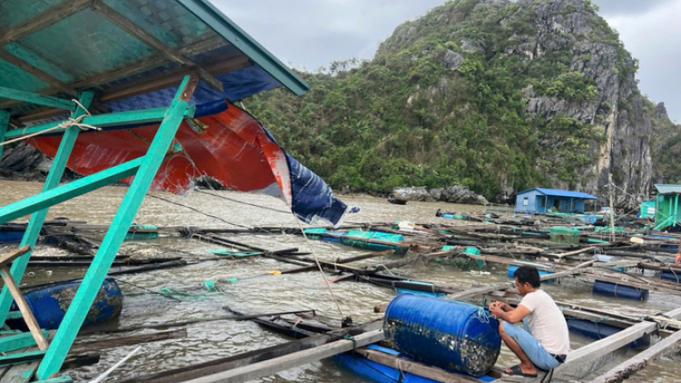 Nhanh chóng khôi phục sản xuất nuôi trồng thủy sản sau bão