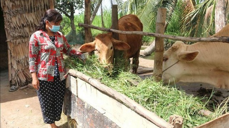 Sóc Trăng: Hội phụ nữ lan tỏa tinh thần khởi nghiệp, thực hiện công tác giảm nghèo bền vững (19/09/2024)