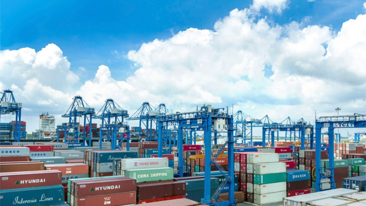 Tàu container ghé nhiều, cảng Bà Rịa – Vũng Tàu khởi sắc (15/1/2024)