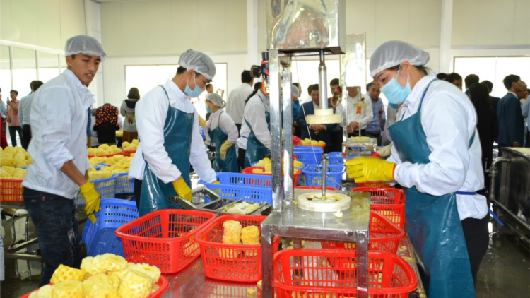 Thu ngân sách của Hà Nội đạt con số ấn tượng vượt 500.000 tỷ đồng (12/1/2025)