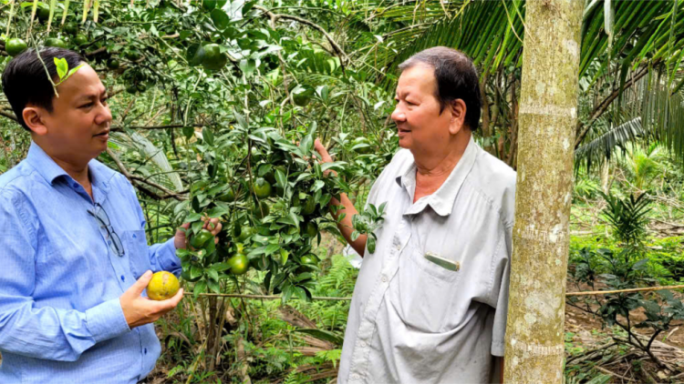 Chuyện về người nông dân tỷ phú ở xứ dừa với mô hình làm vườn “sạch” (05/1/2025)