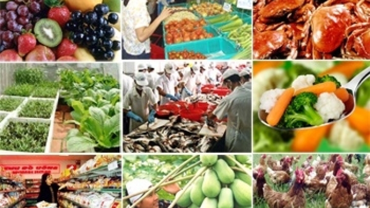Đảm bảo an toàn hàng hóa thực phẩm Tết - Nâng cao trách nhiệm của doanh nghiệp và cơ quan quản lý Nhà nước. (22/01/2016)