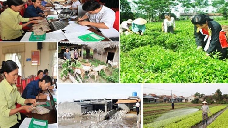 Giảm nghèo đa chiều: Tiêu chí mới, chính sách mới. (12/02/2016)