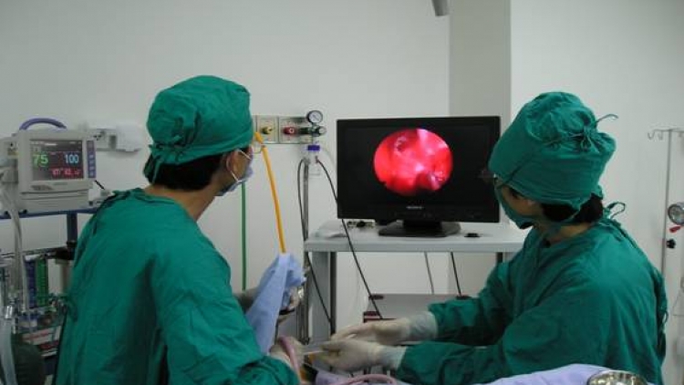 Từ ngày mai, gần 1.900 dịch vụ kỹ thuật y tế sẽ được điều chỉnh giá với mức tăng trung bình từ 30% đến 50%. (Thời sự trưa 29/02/2016)