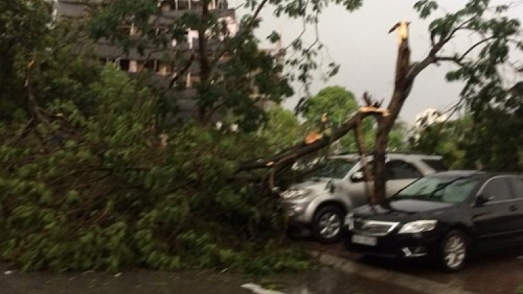 Thời sự chiều ngày 13/6/2015: Chiều nay tại Hà Nội đã xảy ra một trận mưa dông, tố lốc khiến nhiều cây xanh gẫy đổ