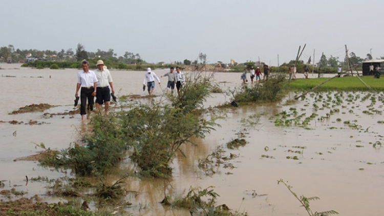 Thời sự đêm ngày 27/3/2015: Nhiều nhà cửa, hoa màu của người dân ở các tỉnh miền Trung bị thiệt hại nặng nề do mưa lũ bất thường giữa mùa khô